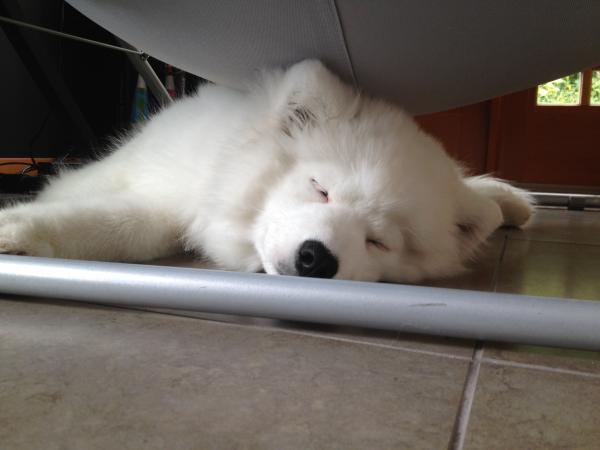 Sleeping in tight places